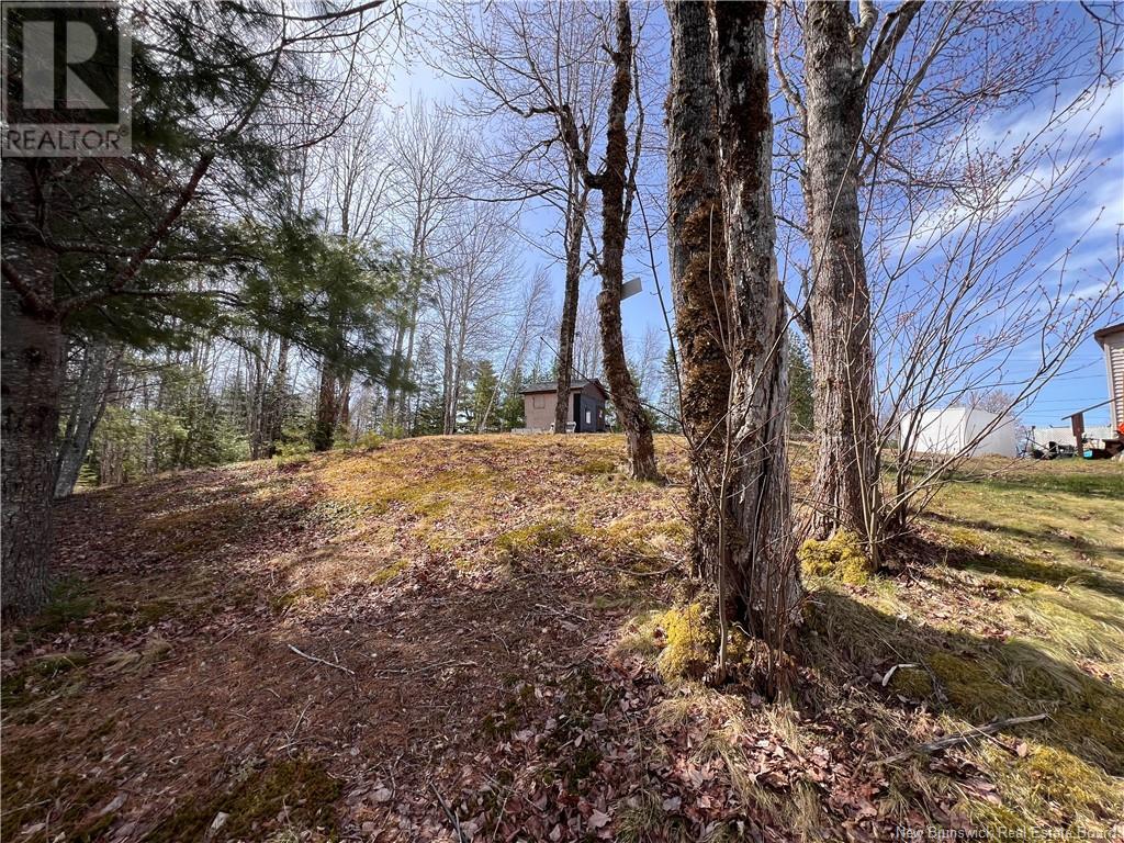 764 Route 735, Mayfield, New Brunswick  E3L 5G7 - Photo 18 - NB117766