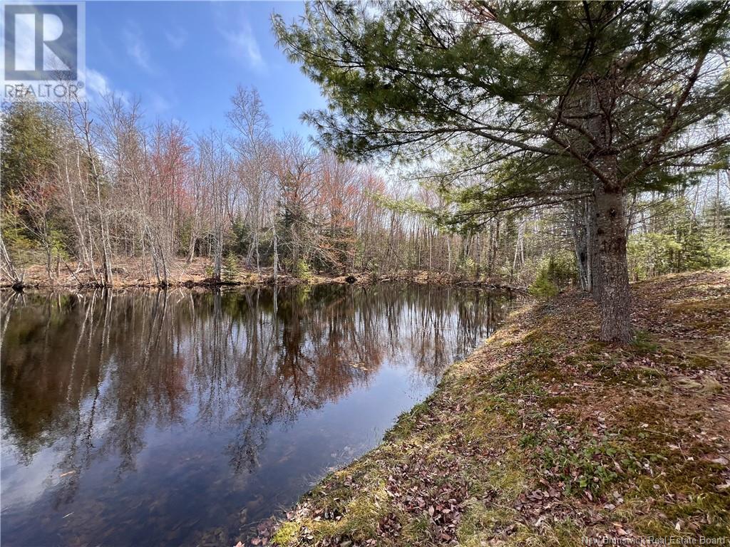 764 Route 735, Mayfield, New Brunswick  E3L 5G7 - Photo 19 - NB117766