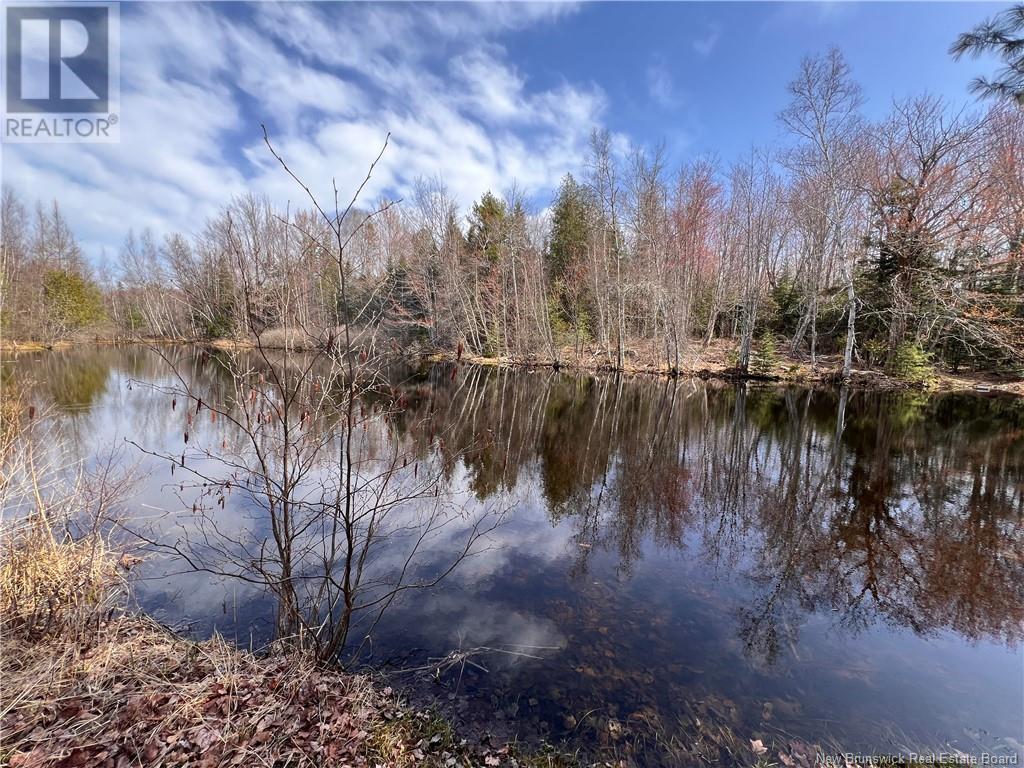 764 Route 735, Mayfield, New Brunswick  E3L 5G7 - Photo 2 - NB117766