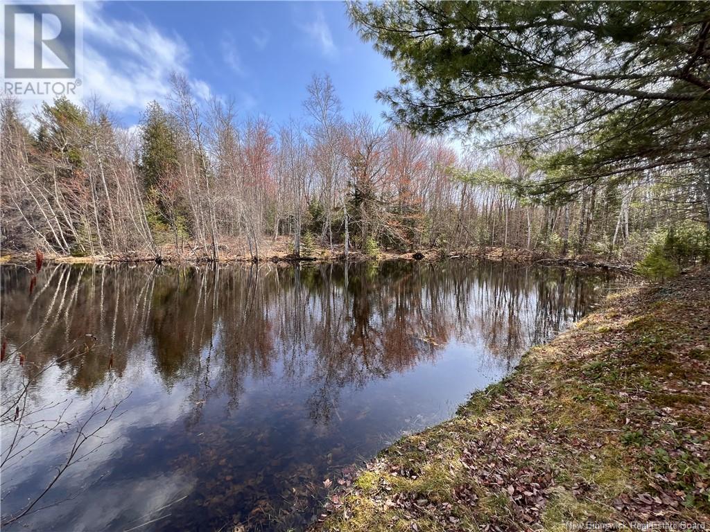 764 Route 735, Mayfield, New Brunswick  E3L 5G7 - Photo 20 - NB117766