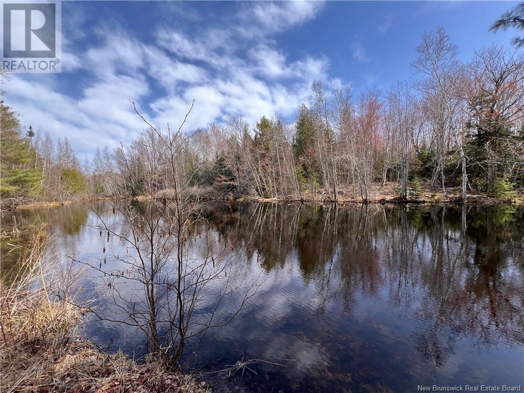 764 Route 735, Mayfield, New Brunswick  E3L 5G7 - Photo 21 - NB117766