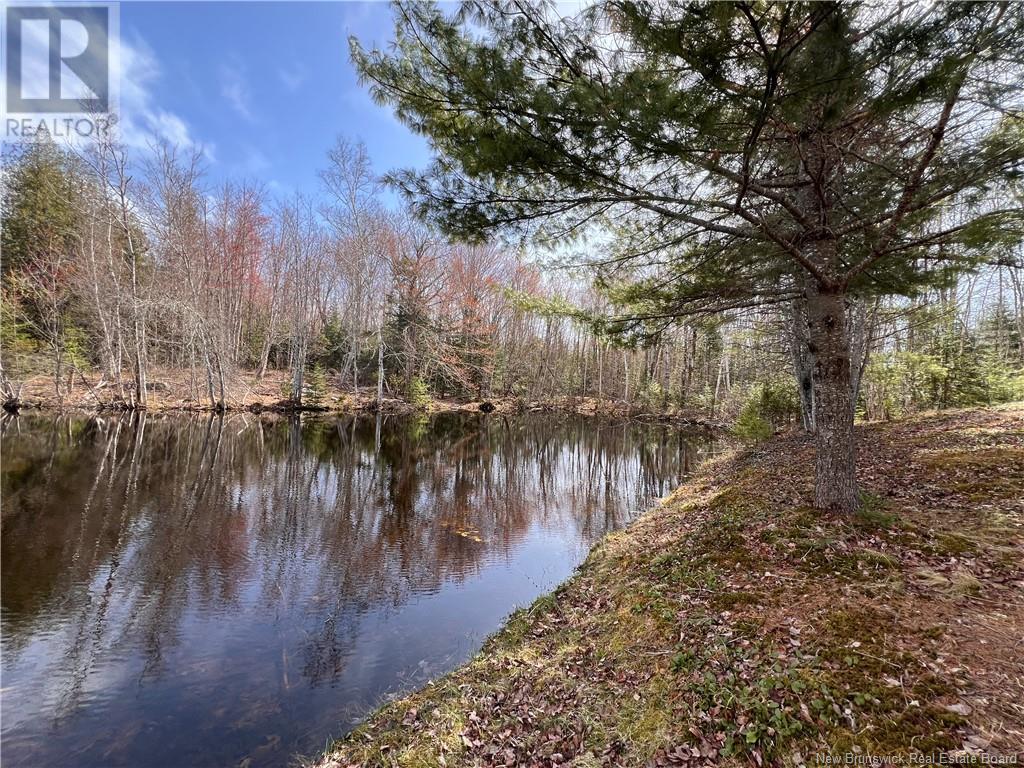 764 Route 735, Mayfield, New Brunswick  E3L 5G7 - Photo 22 - NB117766