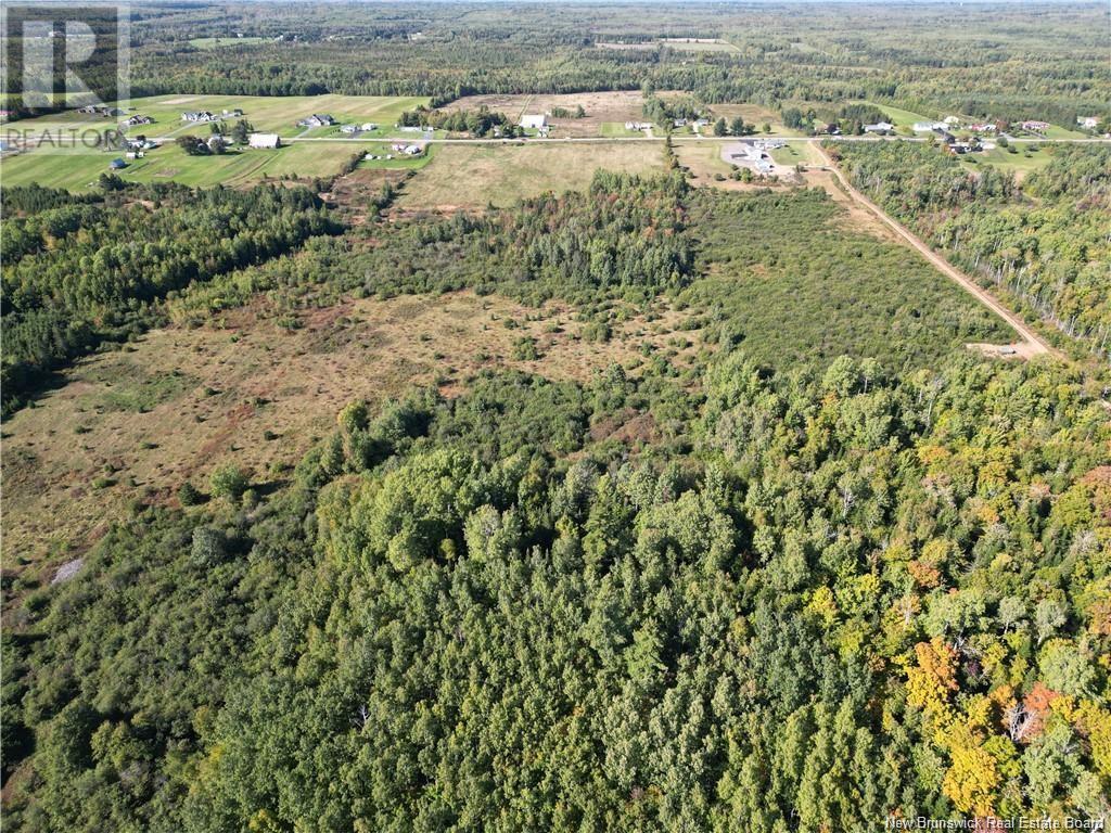 4.55 Acres Route 180, South Tetagouche, New Brunswick  E2A 7C2 - Photo 3 - NB116130