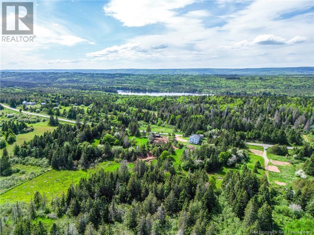 899 Route 915, New Horton, New Brunswick  E4H 3S9 - Photo 49 - NB117673