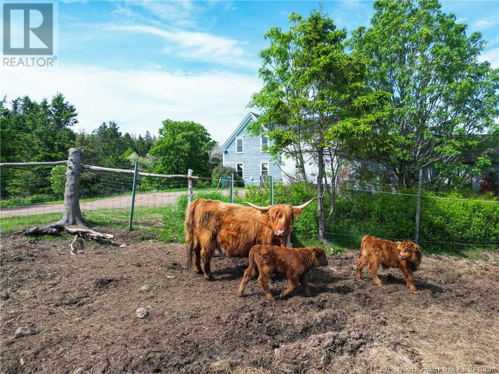 899 Route 915, New Horton, New Brunswick  E4H 3S9 - Photo 7 - NB117673