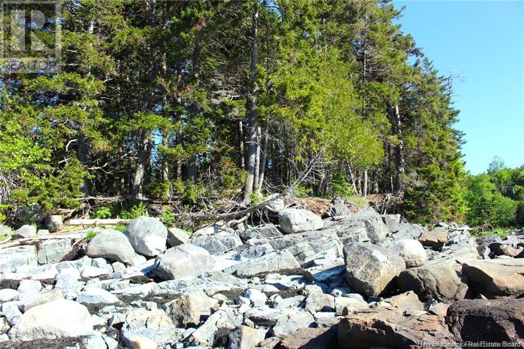 Route 127, Bocabec, New Brunswick  E5B 3H7 - Photo 13 - NB117751