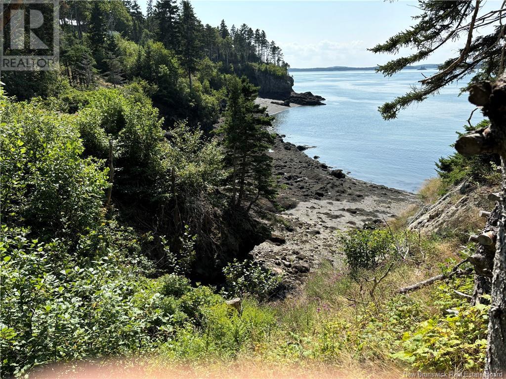 29 Lighthouse Road, Campobello, New Brunswick  E5E 1K6 - Photo 45 - NB117422