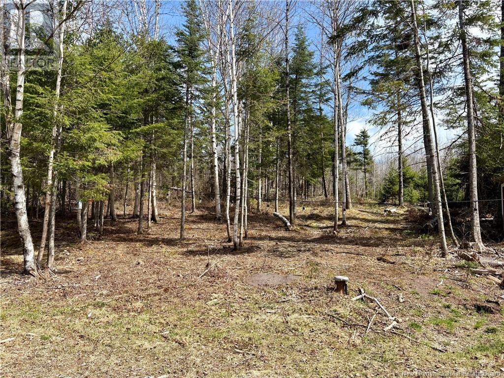 533 Howard Brook Road, Howard Brook, New Brunswick  E7P 2B1 - Photo 34 - NB117886