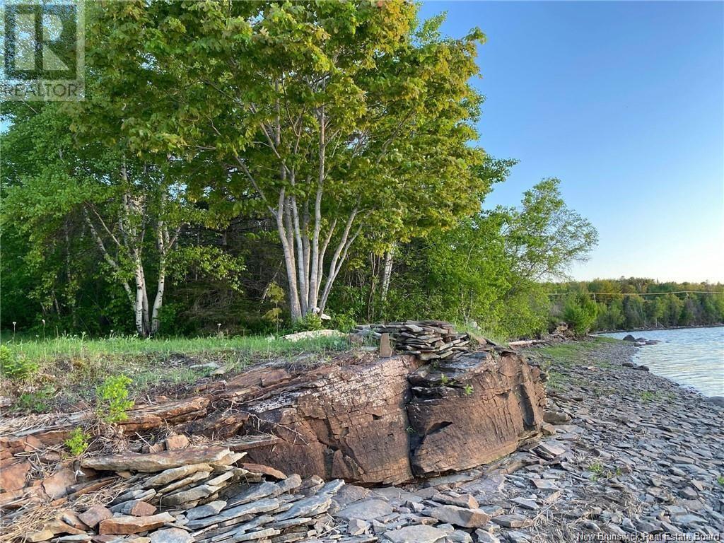 5.6 Acres Route 420, South Esk, New Brunswick  E1V 4M2 - Photo 10 - NB117877