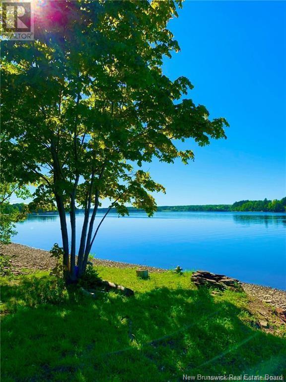 5.6 Acres Route 420, South Esk, New Brunswick  E1V 4M2 - Photo 7 - NB117877