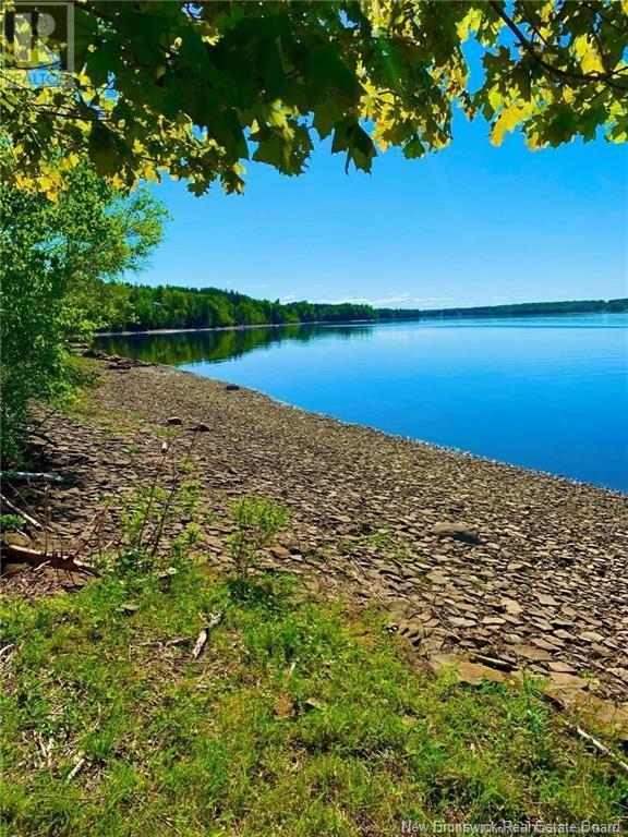 5.6 Acres Route 420, South Esk, New Brunswick  E1V 4M2 - Photo 8 - NB117877