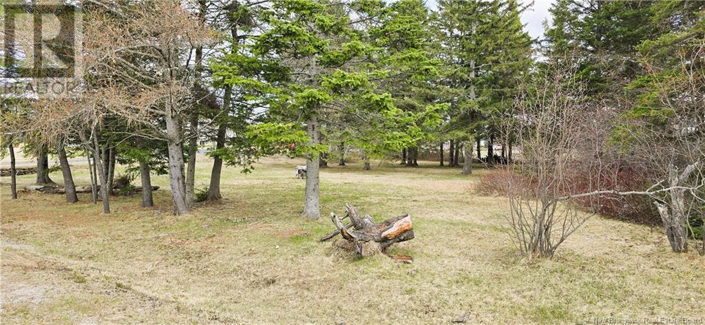 3 Rue Louis Sud Street, Neguac, New Brunswick  E9G 1K8 - Photo 34 - NB117583