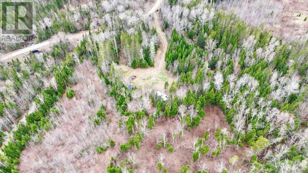 533 Howard Brook Road, Howard Brook, New Brunswick  E7P 2B1 - Photo 2 - NB116987