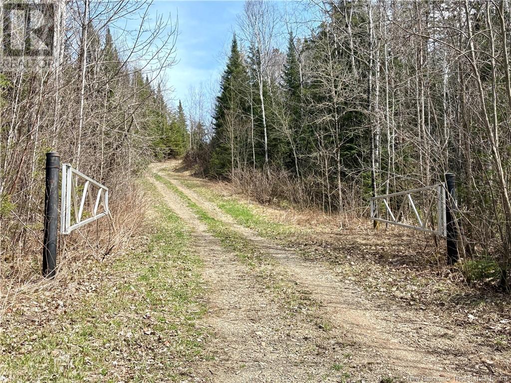 533 Howard Brook Road, Howard Brook, New Brunswick  E7P 2B1 - Photo 28 - NB116987