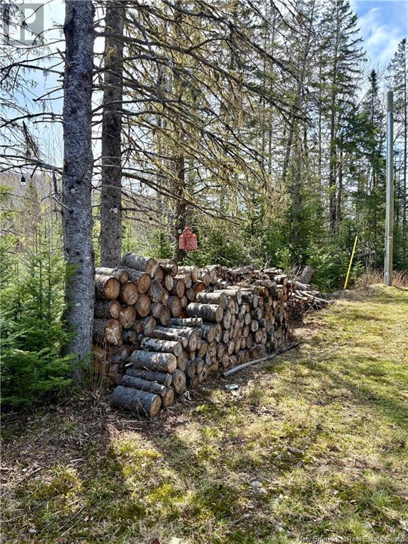 533 Howard Brook Road, Howard Brook, New Brunswick  E7P 2B1 - Photo 29 - NB116987
