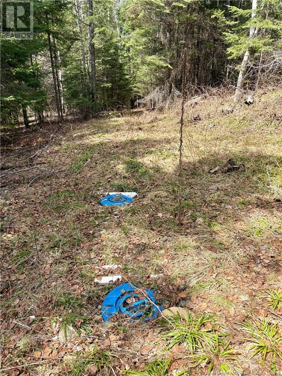 533 Howard Brook Road, Howard Brook, New Brunswick  E7P 2B1 - Photo 42 - NB116987