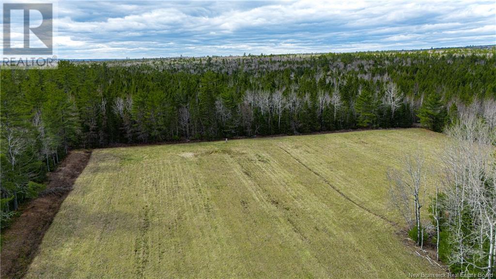 3506 Lower Cambridge Road, Cambridge-Narrows, New Brunswick  E4C 1S6 - Photo 41 - NB117831