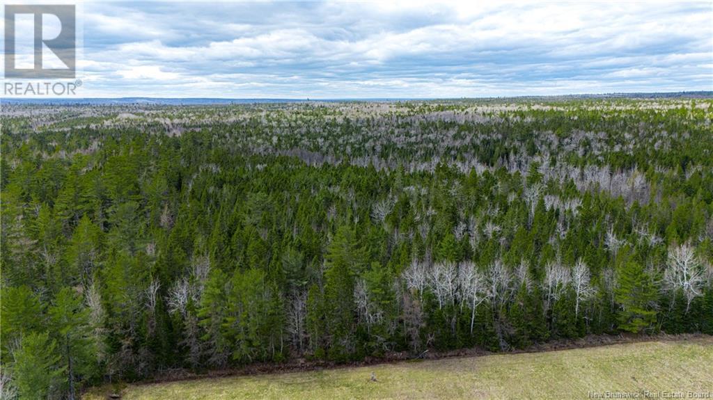 3506 Lower Cambridge Road, Cambridge-Narrows, New Brunswick  E4C 1S6 - Photo 42 - NB117831