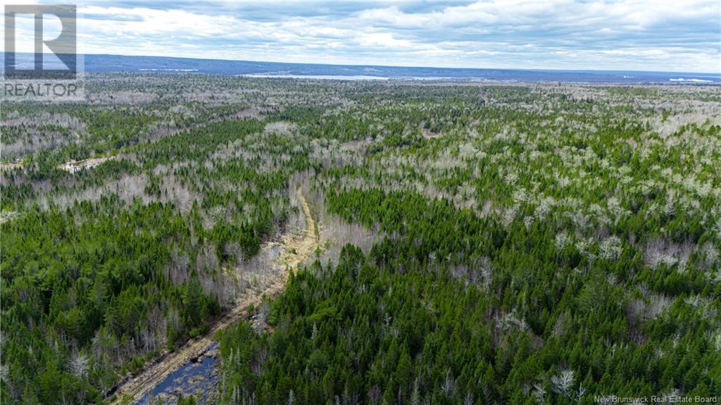 3506 Lower Cambridge Road, Cambridge-Narrows, New Brunswick  E4C 1S6 - Photo 43 - NB117831