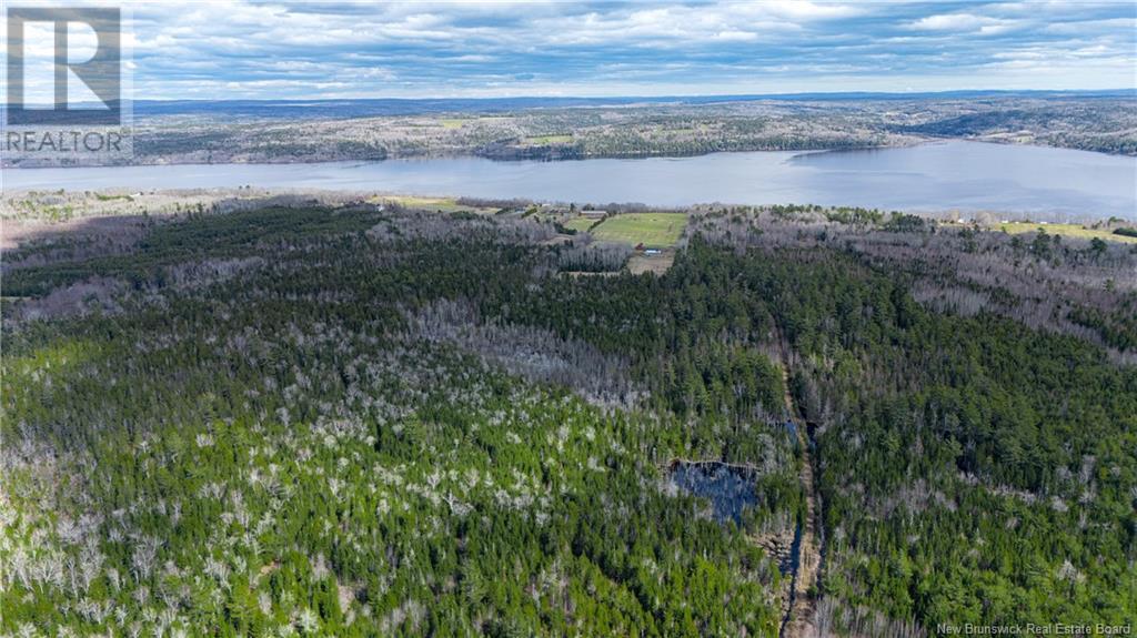 3506 Lower Cambridge Road, Cambridge-Narrows, New Brunswick  E4C 1S6 - Photo 44 - NB117831