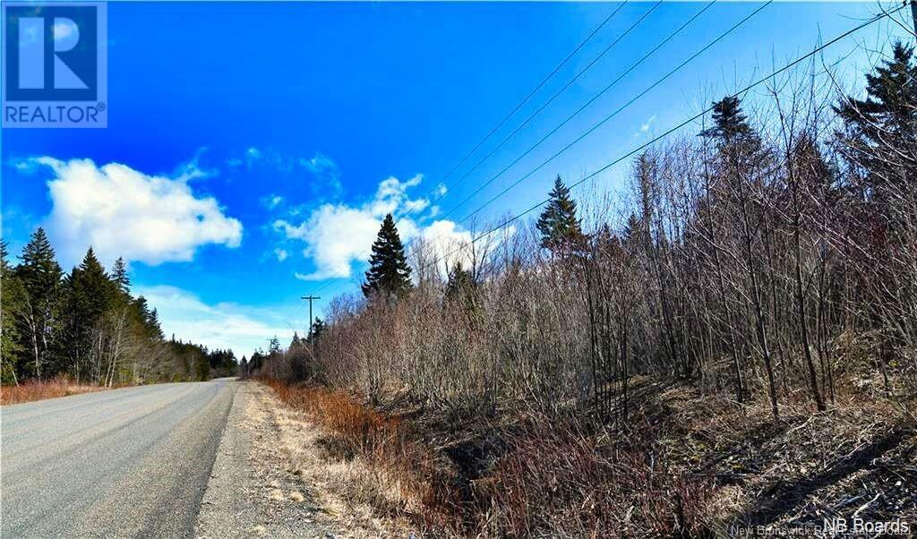 Lot 88-109 Bunker Hill Road, Wilsons Beach, New Brunswick  E5E 1M3 - Photo 10 - NB117909