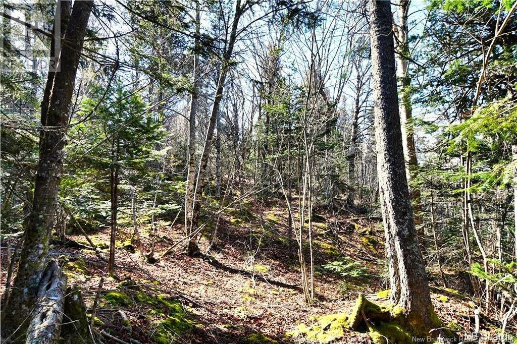 Lot 88-109 Bunker Hill Road, Wilsons Beach, New Brunswick  E5E 1M3 - Photo 2 - NB117909