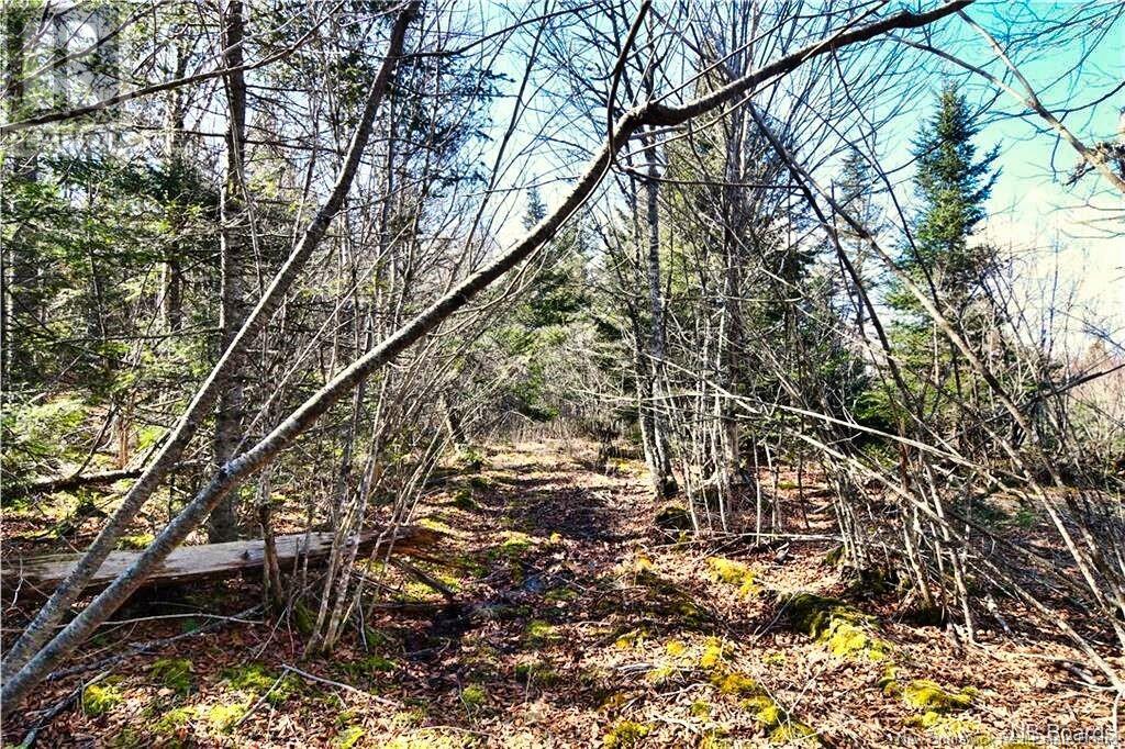 Lot 88-109 Bunker Hill Road, Wilsons Beach, New Brunswick  E5E 1M3 - Photo 5 - NB117909