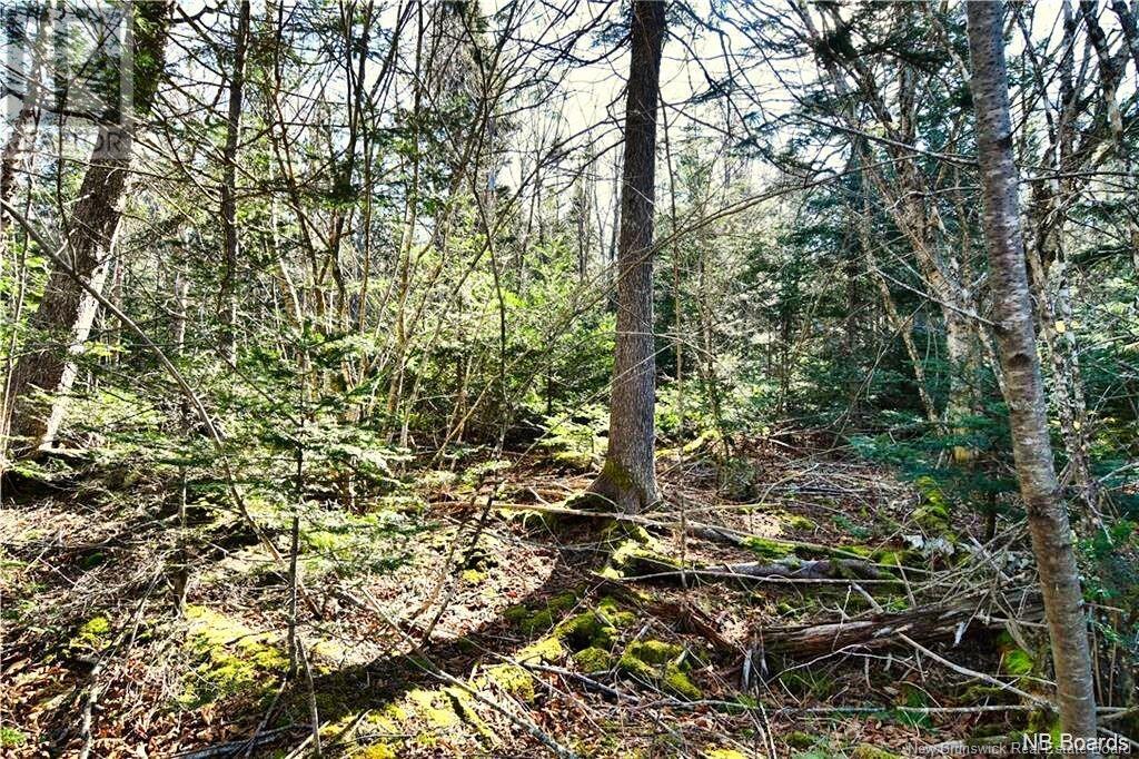Lot 88-109 Bunker Hill Road, Wilsons Beach, New Brunswick  E5E 1M3 - Photo 6 - NB117909