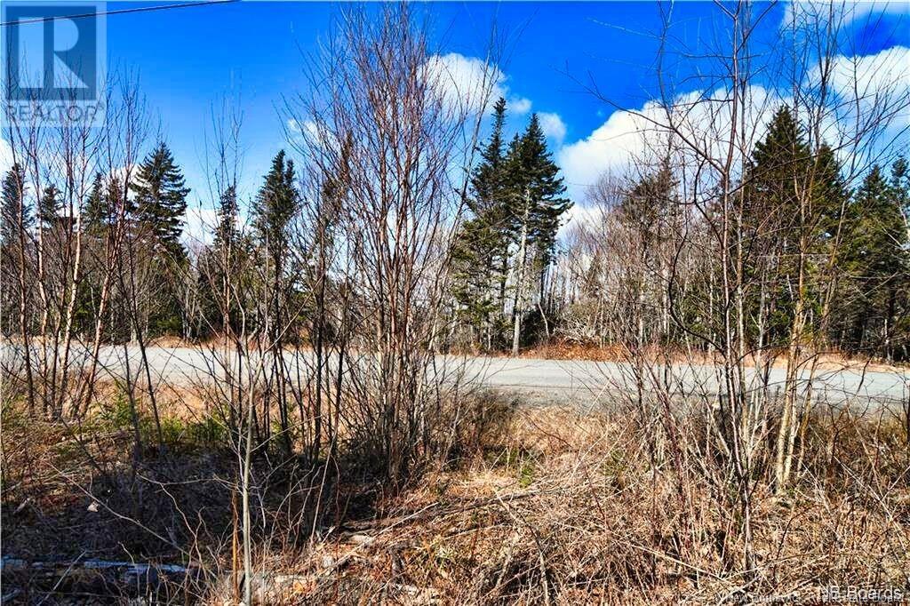 Lot 88-109 Bunker Hill Road, Wilsons Beach, New Brunswick  E5E 1M3 - Photo 7 - NB117909