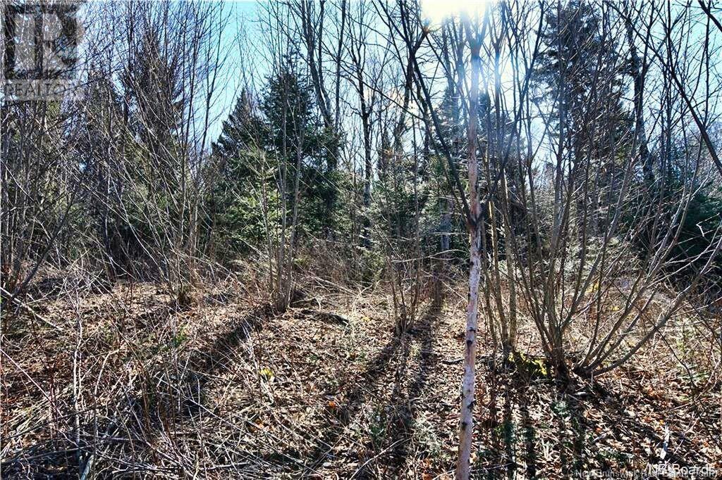 Lot 88-109 Bunker Hill Road, Wilsons Beach, New Brunswick  E5E 1M3 - Photo 8 - NB117909