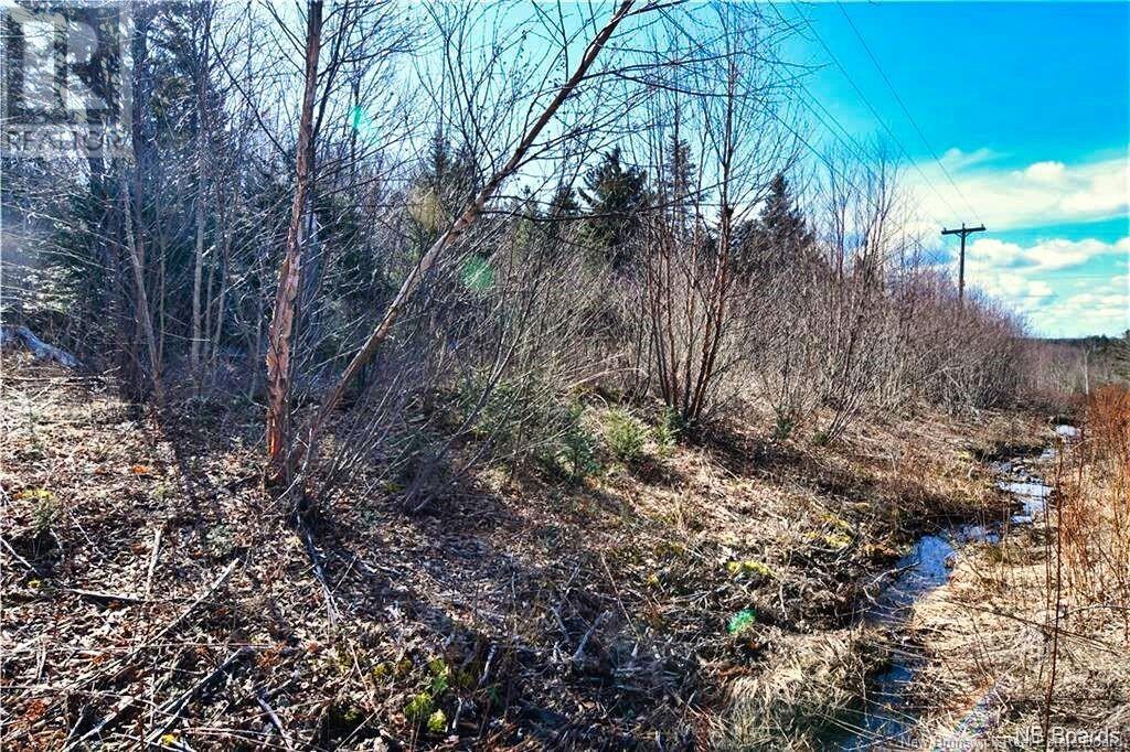 Lot 88-109 Bunker Hill Road, Wilsons Beach, New Brunswick  E5E 1M3 - Photo 9 - NB117909
