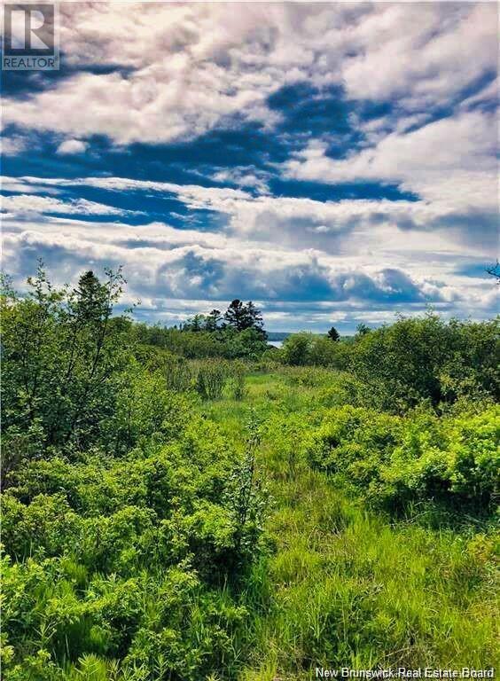 Narrows Road, Welshpool, New Brunswick  E5E 1B4 - Photo 10 - NB117932