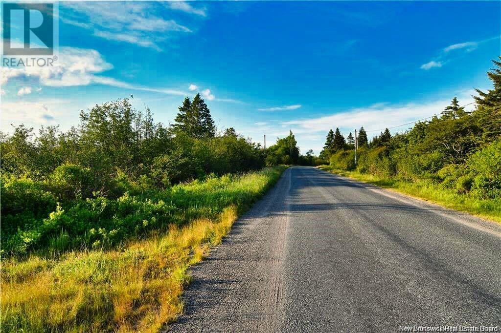 Narrows Road, Welshpool, New Brunswick  E5E 1B4 - Photo 11 - NB117932