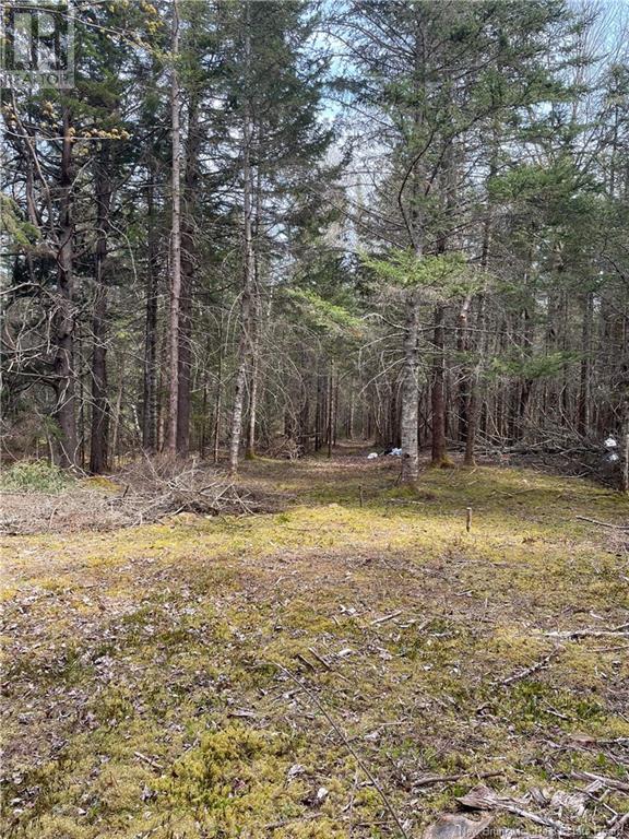 South Street, St George, New Brunswick  E5C 3R1 - Photo 8 - NB117912