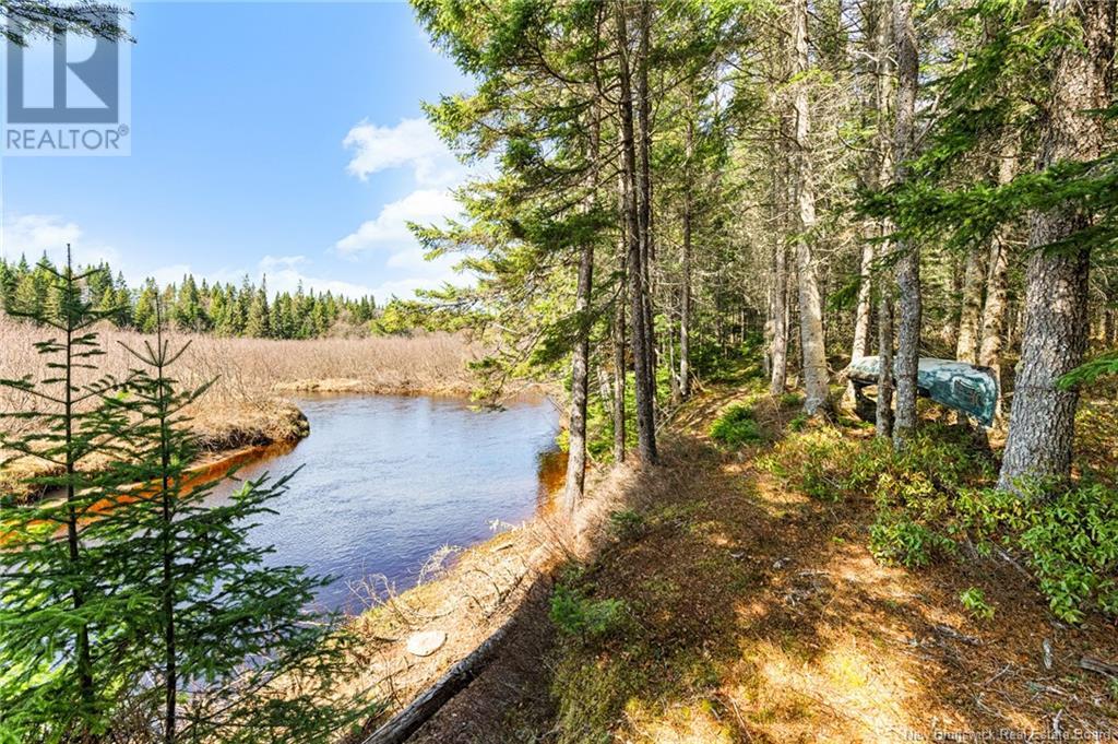 653 Fork Stream, Canaan, New Brunswick  E4Z 5Z3 - Photo 5 - NB117891