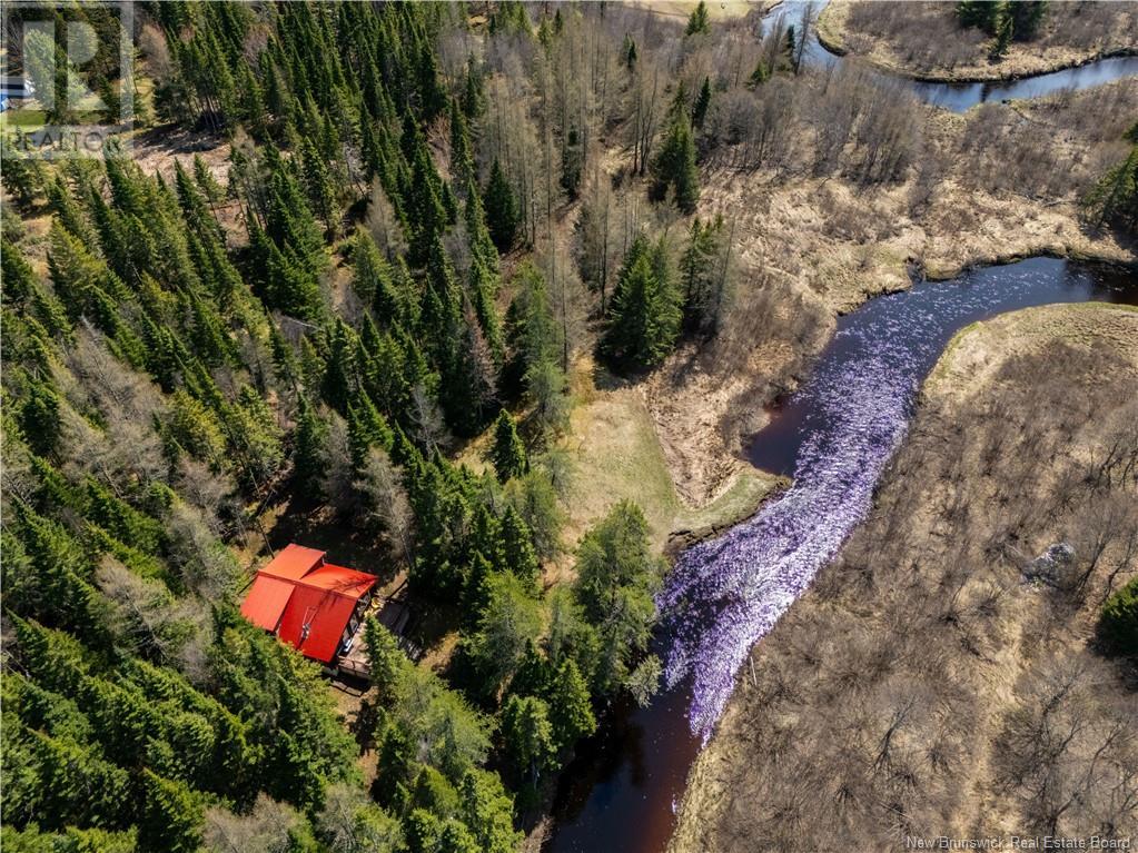 653 Fork Stream, Canaan, New Brunswick  E4Z 5Z3 - Photo 6 - NB117891