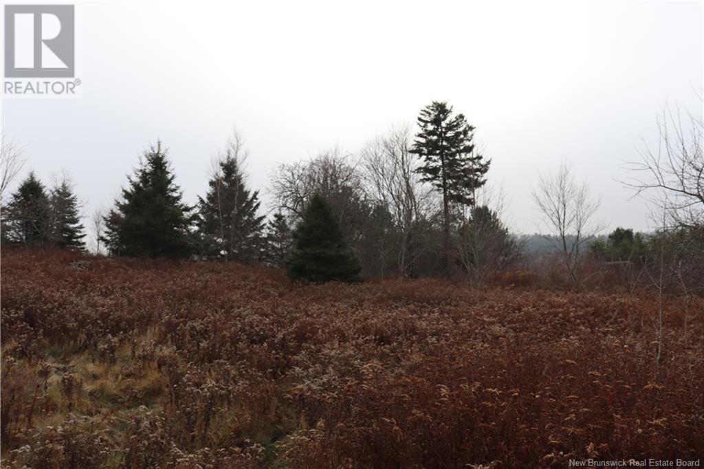 3926 845 Route, Kingston, New Brunswick  E5N 1E9 - Photo 11 - NB117970