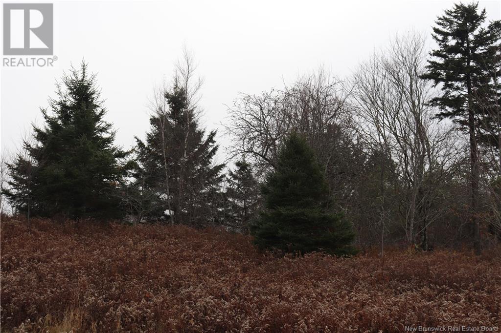 3926 845 Route, Kingston, New Brunswick  E5N 1E9 - Photo 14 - NB117970