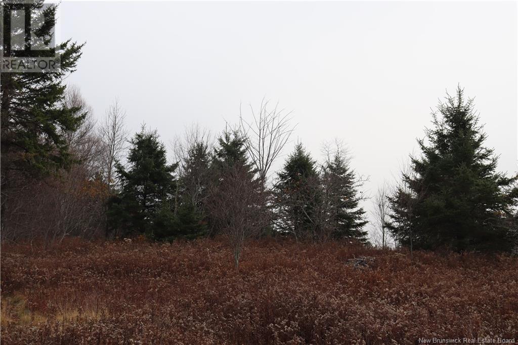 3926 845 Route, Kingston, New Brunswick  E5N 1E9 - Photo 15 - NB117970