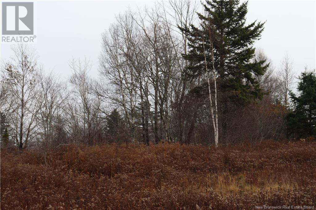 3926 845 Route, Kingston, New Brunswick  E5N 1E9 - Photo 16 - NB117970