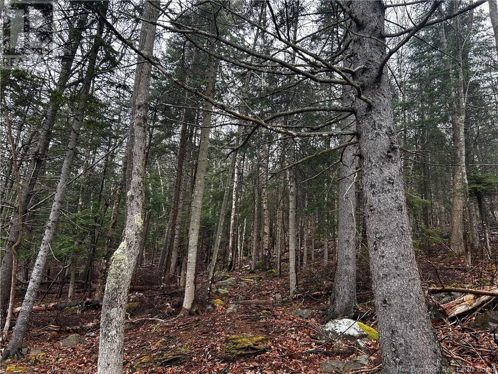 Main Street, Hampton, New Brunswick  E5N 6G8 - Photo 2 - NB117993