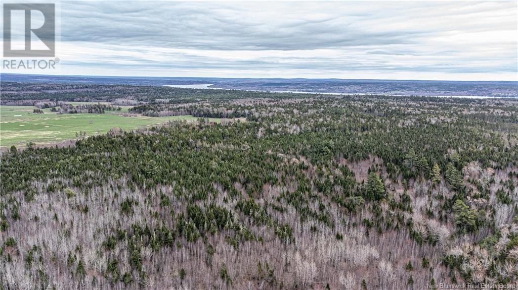 151 Stevens Road, Whites Cove, New Brunswick  E4C 0A3 - Photo 41 - NB117979