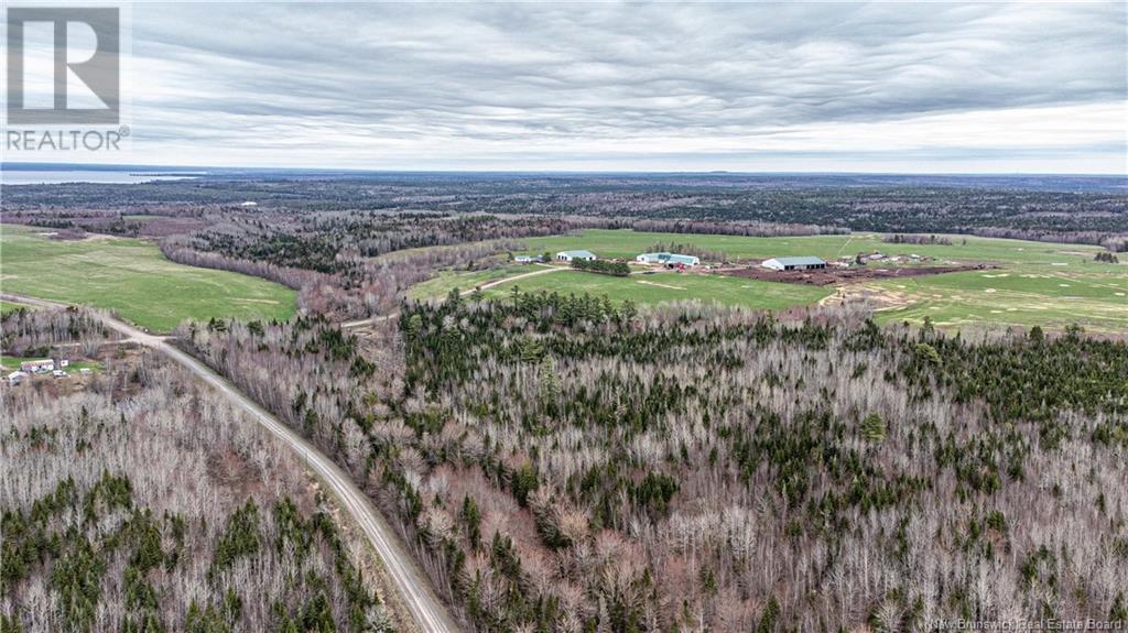 151 Stevens Road, Whites Cove, New Brunswick  E4C 0A3 - Photo 42 - NB117979