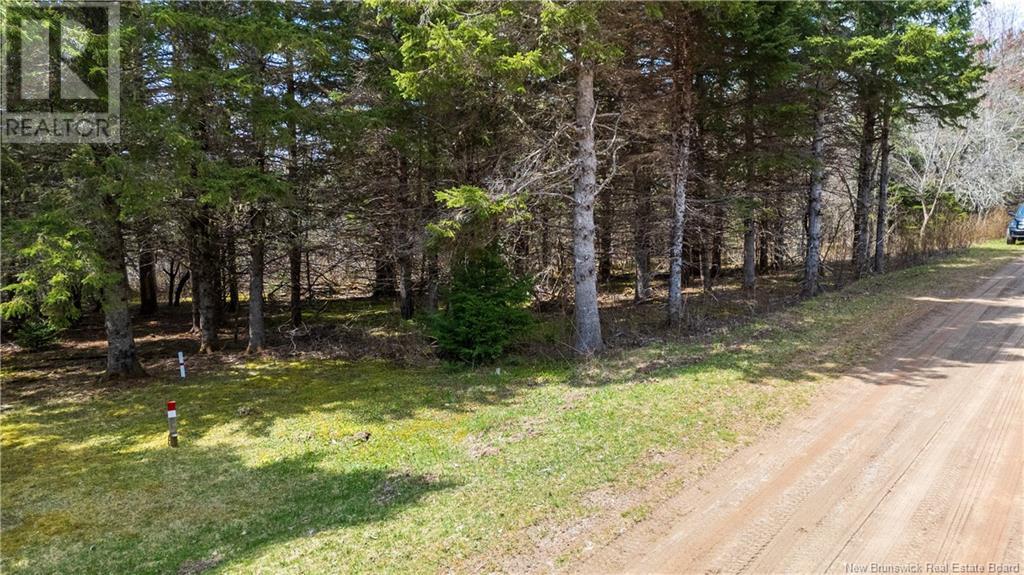 D Wilson, Elgin, New Brunswick  E4Z 1M7 - Photo 10 - NB117978
