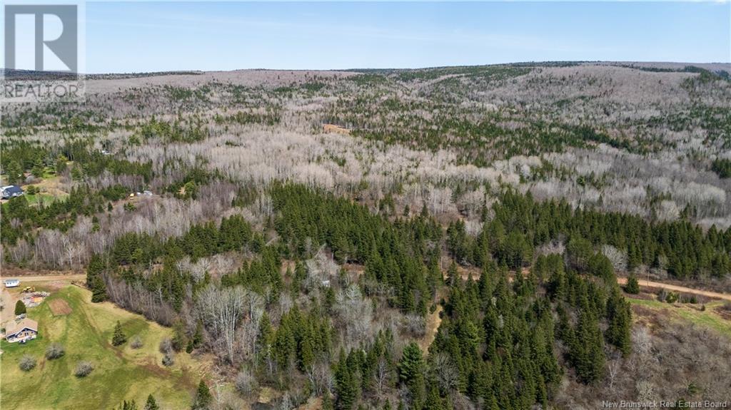 D Wilson, Elgin, New Brunswick  E4Z 1M7 - Photo 3 - NB117978