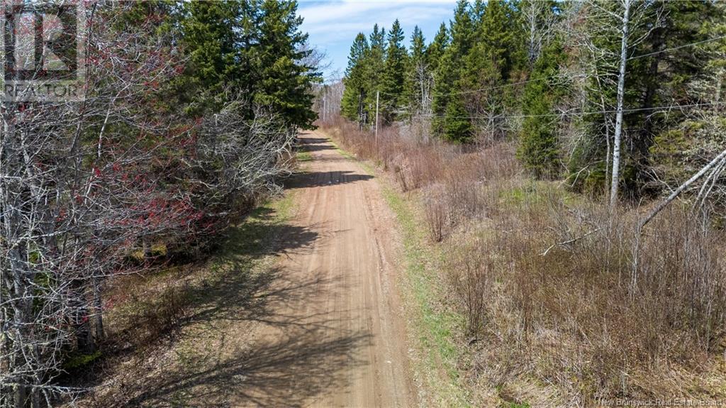 D Wilson, Elgin, New Brunswick  E4Z 1M7 - Photo 5 - NB117978
