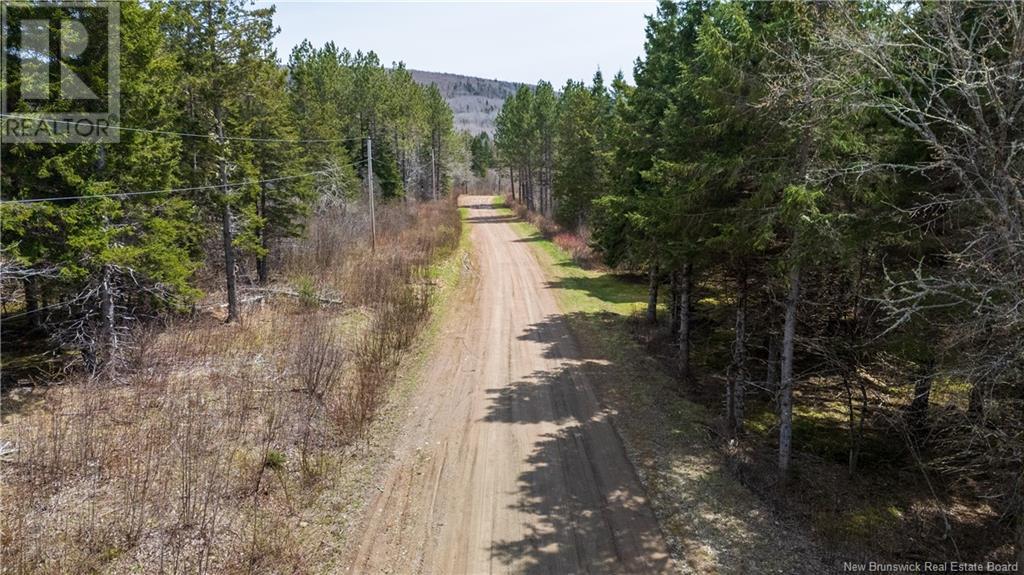 D Wilson, Elgin, New Brunswick  E4Z 1M7 - Photo 6 - NB117978