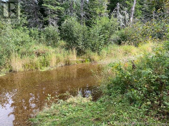 11312 Route 114, Springdale, New Brunswick  E4E 5E9 - Photo 15 - NB118042