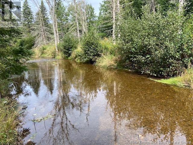 11312 Route 114, Springdale, New Brunswick  E4E 5E9 - Photo 16 - NB118042