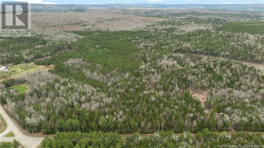 599 Parkindale Road, Parkindale, New Brunswick  E4Z 3B2 - Photo 17 - NB117131
